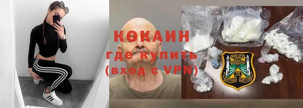 гашик Алексеевка