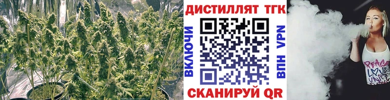 цена   Дно  Дистиллят ТГК Wax 