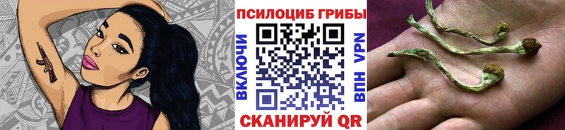 где найти наркотики  Дно  Галлюциногенные грибы Psilocybe 